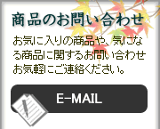 î₢킹́@E-mailɂ